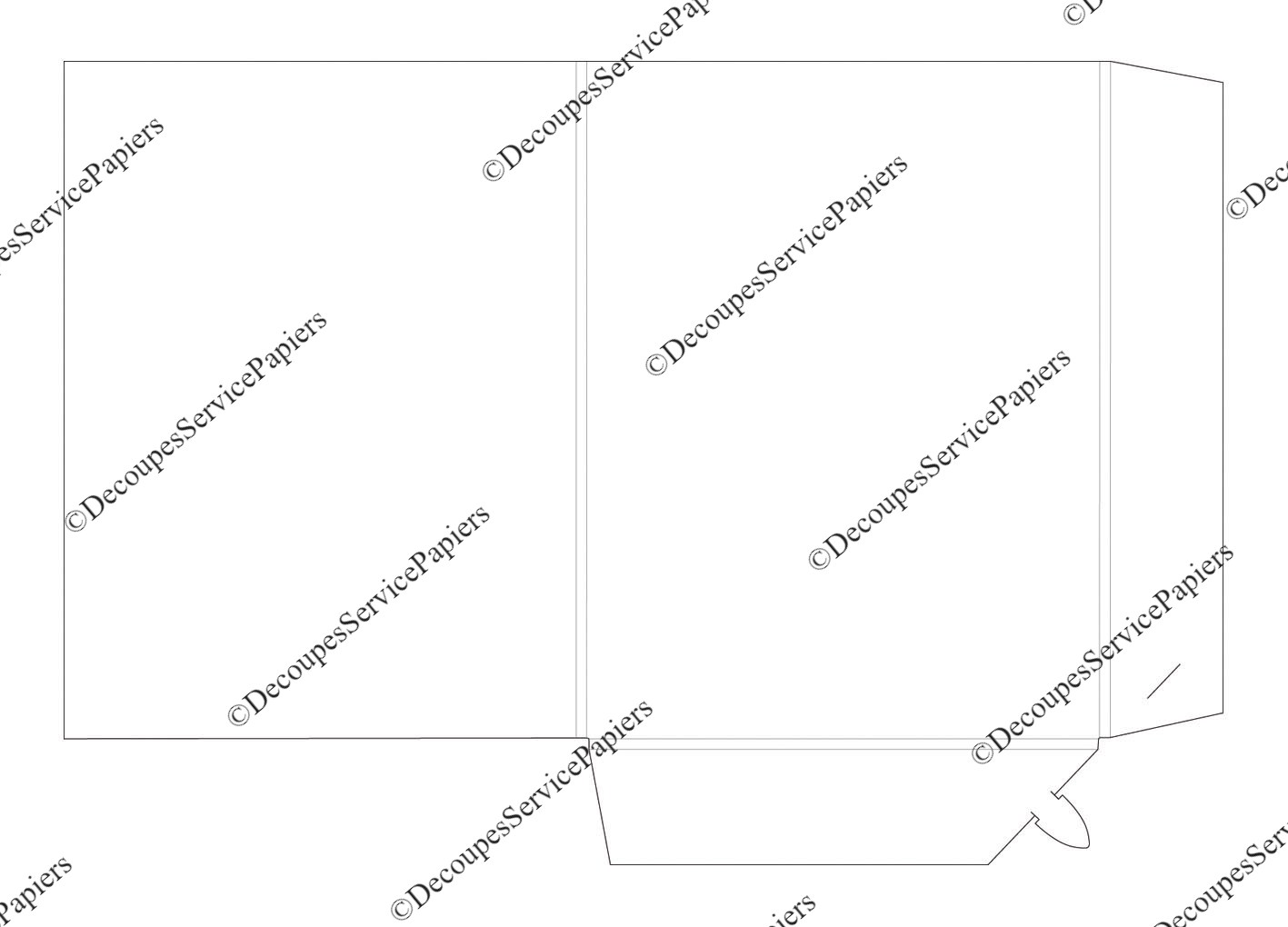 CHEMISE F 242 X 320 R5 O 548 X 380.jpeg